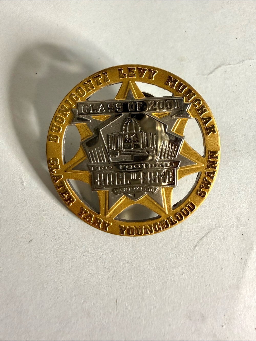 NFL Hall of Fame Class of 2001 Pin - Players Listed - Limited Edition